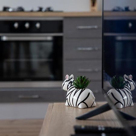 Apartman Ena Bjelovar Buitenkant foto