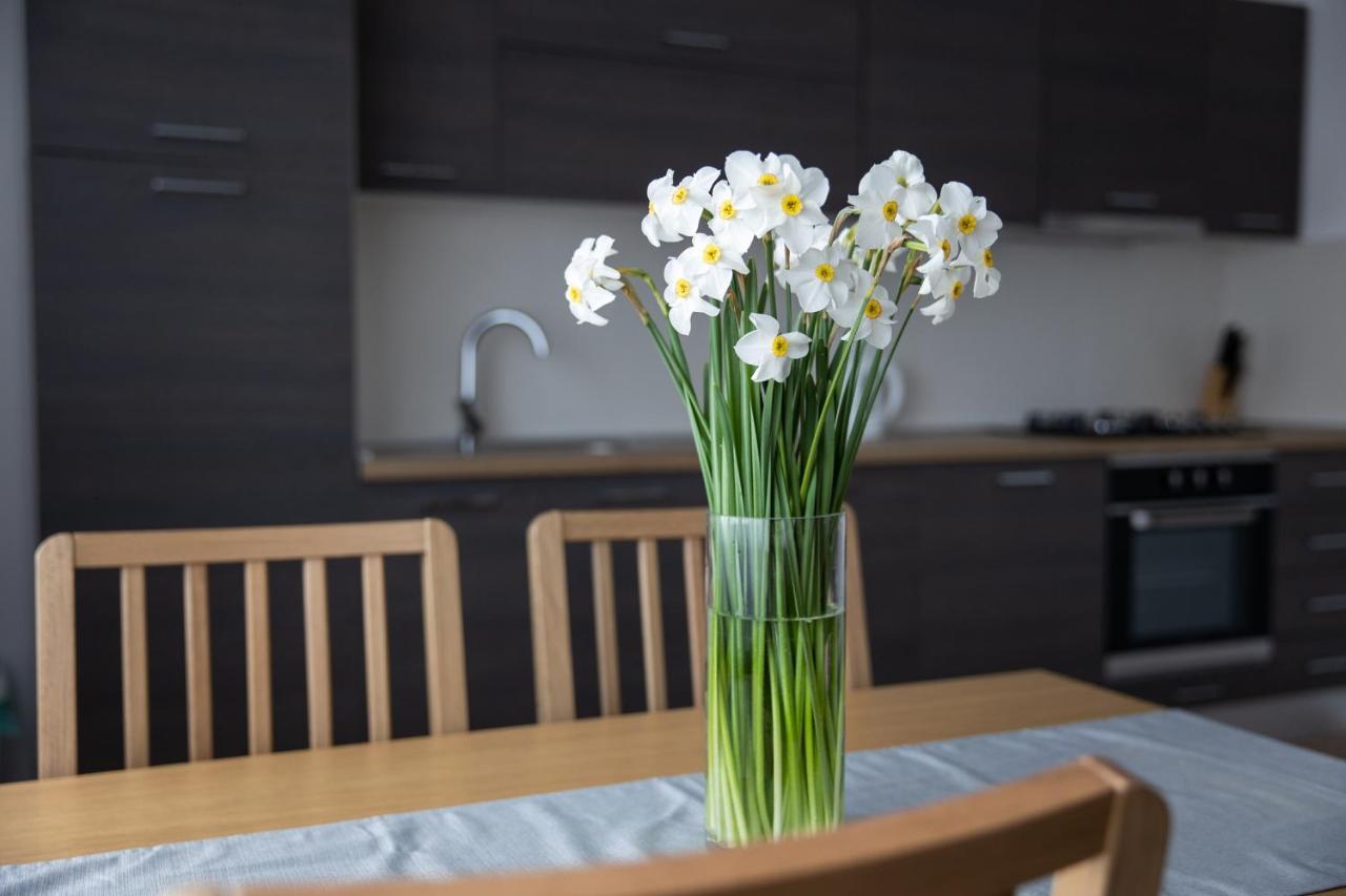 Apartman Ena Bjelovar Buitenkant foto