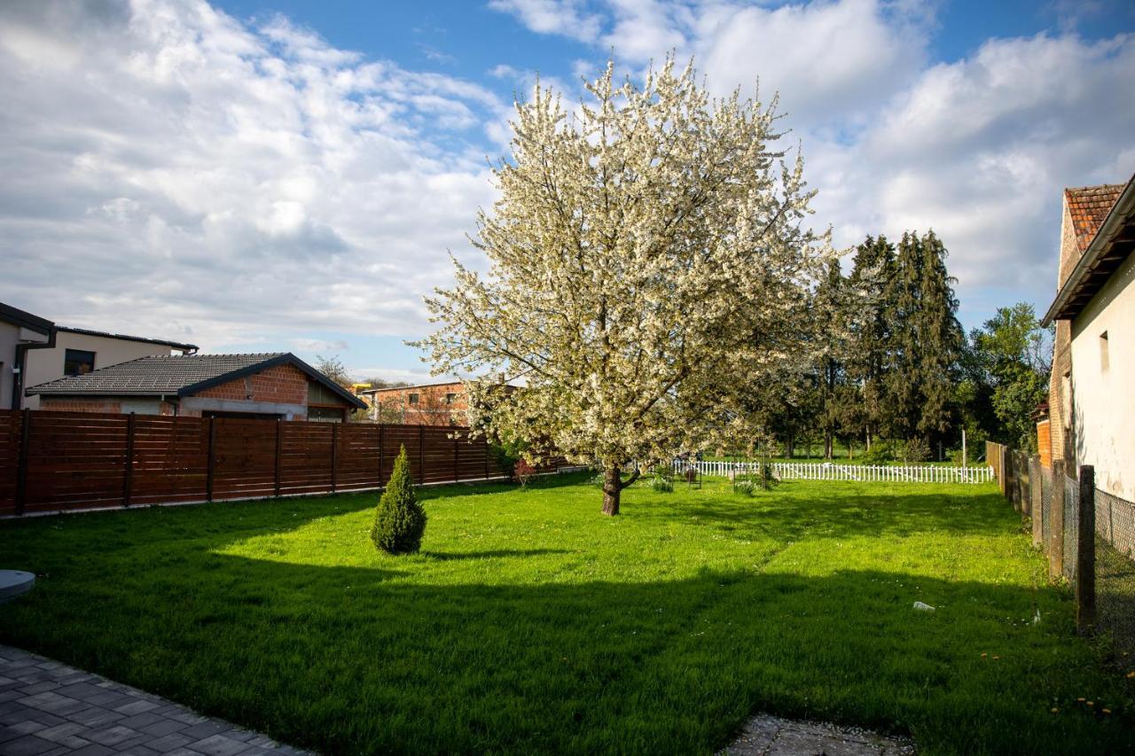 Apartman Ena Bjelovar Buitenkant foto
